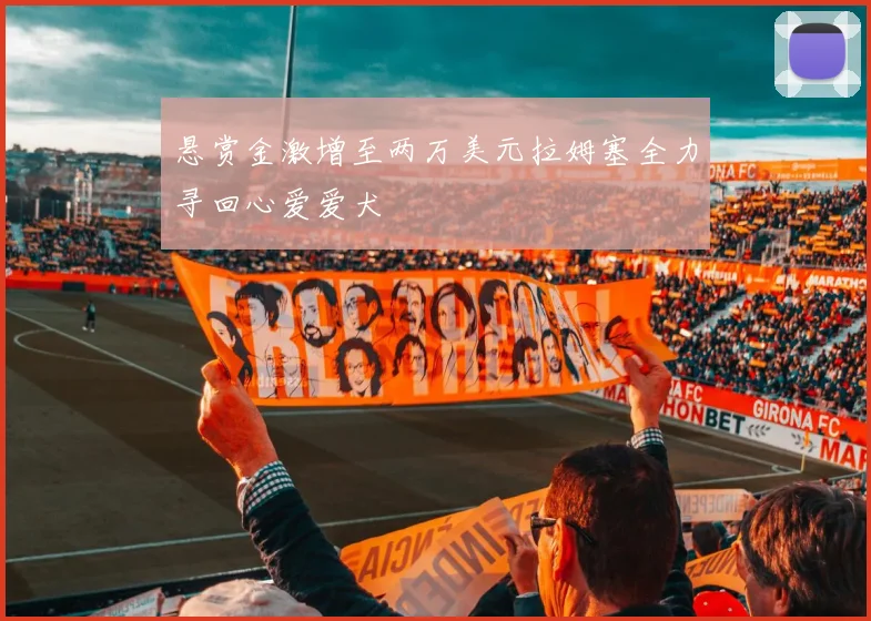 悬赏金激增至两万美元拉姆塞全力寻回心爱爱犬