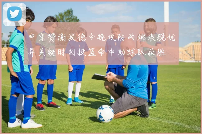 申京赞谢泼德今晚攻防两端表现优异关键时刻投篮命中助球队获胜