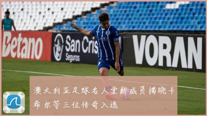 澳大利亚足球名人堂新成员揭晓卡希尔等三位传奇入选