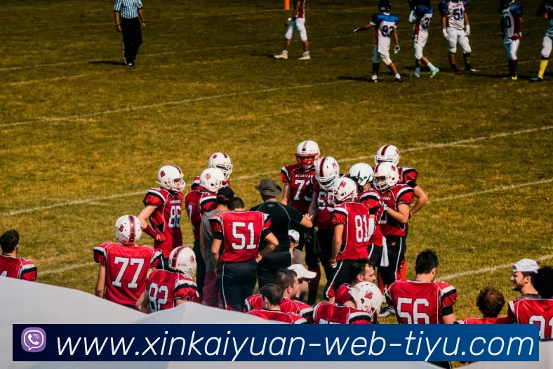 App Interface Preview